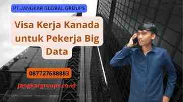 Visa Kerja Kanada untuk Pekerja Big Data
