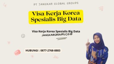 Visa Kerja Korea Spesialis Big Data