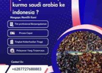 Bagaimana Cara Impor Kurma Saudi Arabia Ke Indonesia ?