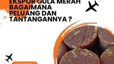 Ekspor Gula Merah Bagaimana Peluang dan Tantangannya ?