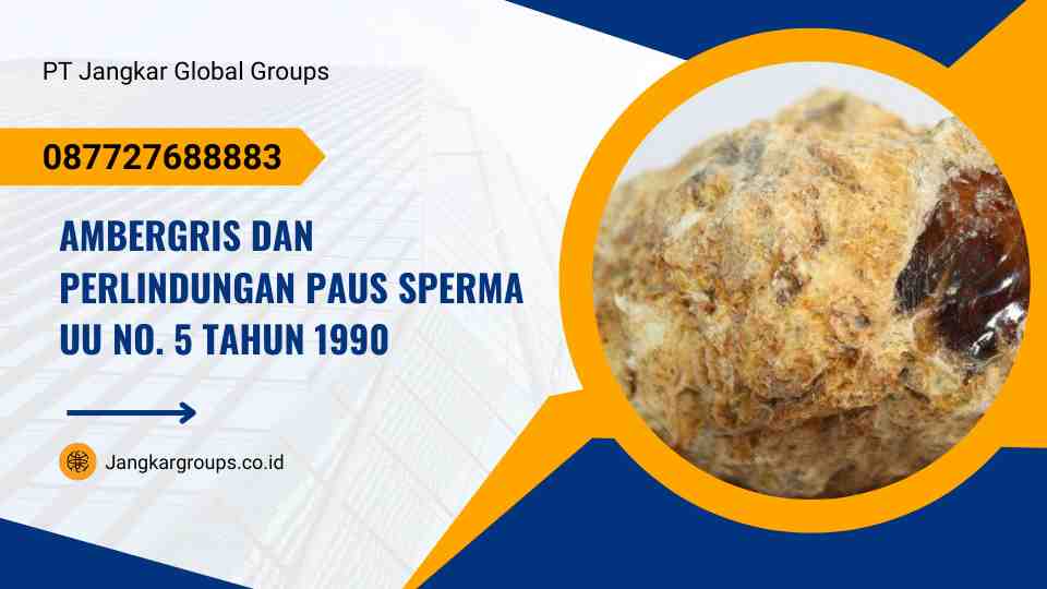 Ambergris dan Perlindungan Paus Sperma UU No. 5 Tahun 1990