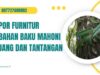 Ekspor Furnitur Berbahan Baku Mahoni Peluang dan Tantangan