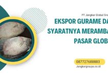 Ekspor Gurame dan Syaratnya Merambah Pasar Global