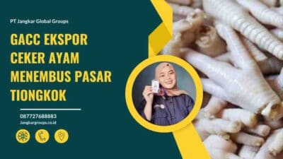 GACC Ekspor Ceker Ayam Menembus Pasar Tiongkok