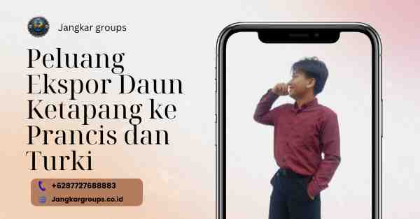 Peluang Ekspor Daun Ketapang ke Prancis dan Turki, Daun Ketapang Menembus Pasar