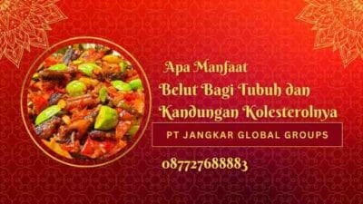 Apa Manfaat Belut Bagi Tubuh dan Kandungan Kolesterolnya