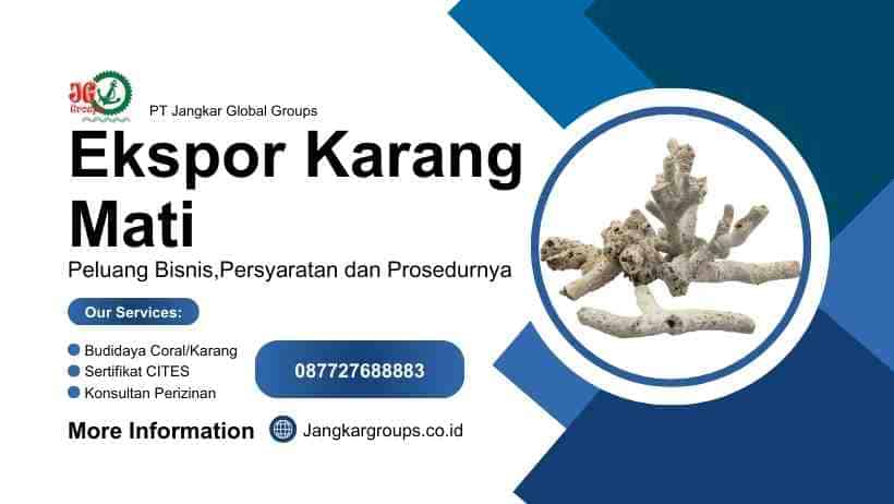 Ekspor Karang Mati Peluang Bisnis,Persyaratan dan Prosedurnya
