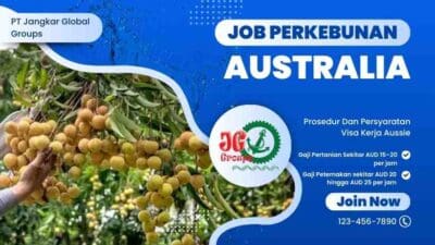 Job Perkebunan Australia Prosedur Dan Persyaratan Visa Kerja
