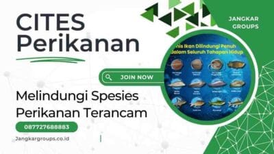 CITES Perikanan Melindungi Spesies Perikanan Terancam