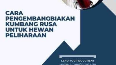 Cara Pengembangbiakan Kumbang Rusa Untuk Hewan Peliharaan