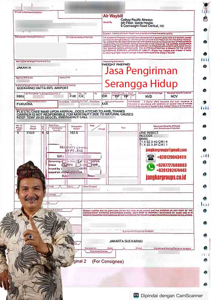 Contoh Air Waybill Serangga Hidup