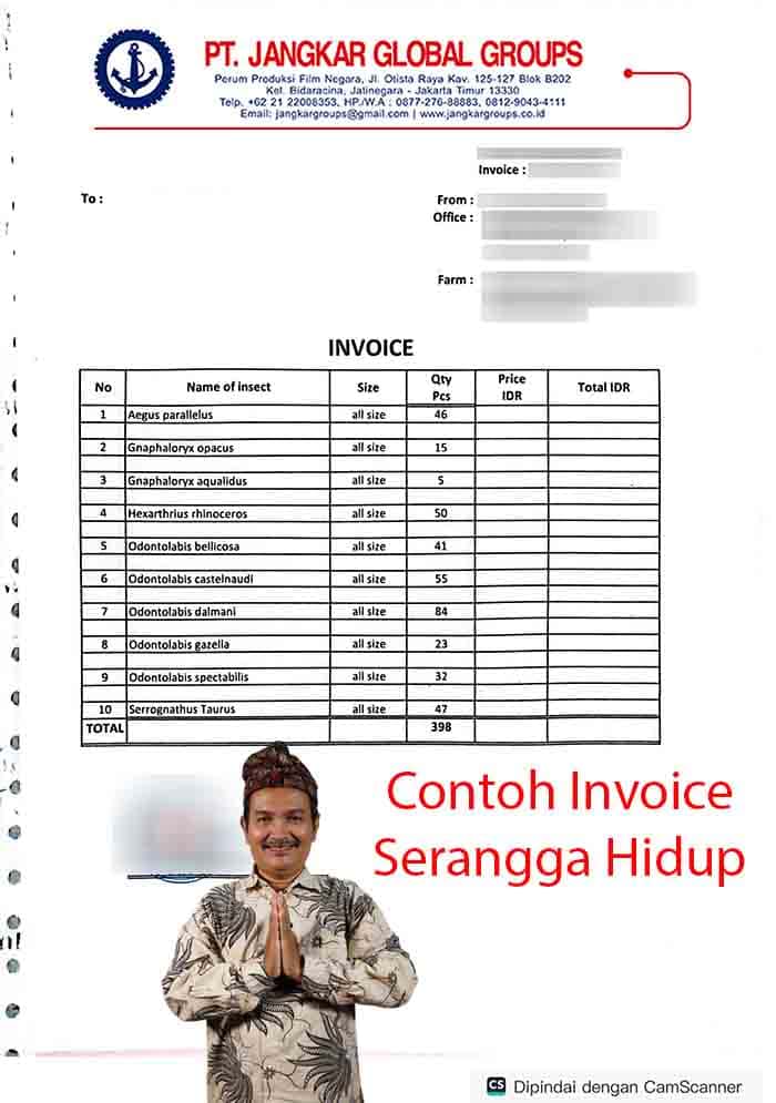 Contoh Invoice Serangga Hidup