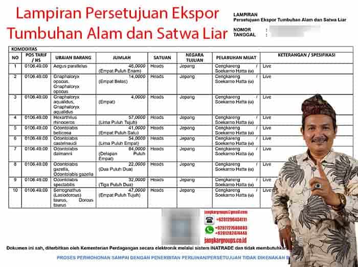 Contoh PE Tumbuhan Alam dan Satwa Liar