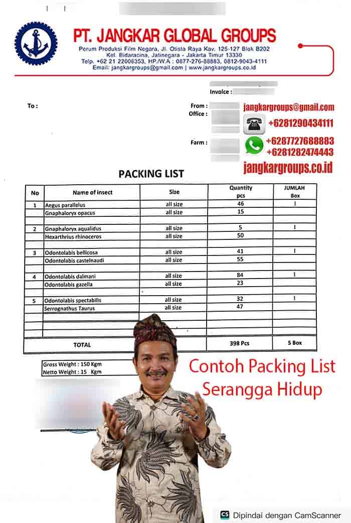Contoh Packing List Serangga Hidup