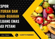 Ekspor Sayuran dan Buah-buahan Peluang Emas bagi Petani