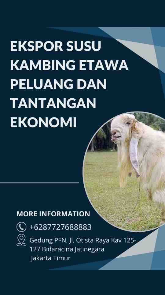 Ekspor Susu Kambing Etawa Peluang dan Tantangan Ekonomi