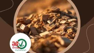 Ekspor Woodchip ke India Peluang dan Manfaat Bagi Indonesia