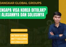 Mengapa Visa Korea Ditolak? Ini Alasannya dan Solusinya