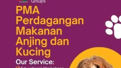 PMA Perdagangan Makanan Anjing dan Kucing Apa Bisa