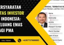 Persyaratan KITAS Investor di Indonesia: Peluang Emas bagi PMA