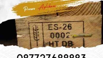 Urus Izin ISPM Kayu Memastikan Kualitas Ekspor Kayu & Prosedur