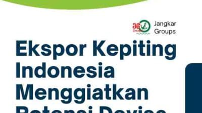 Ekspor Kepiting Indonesia Menggiatkan Potensi Devisa Negara