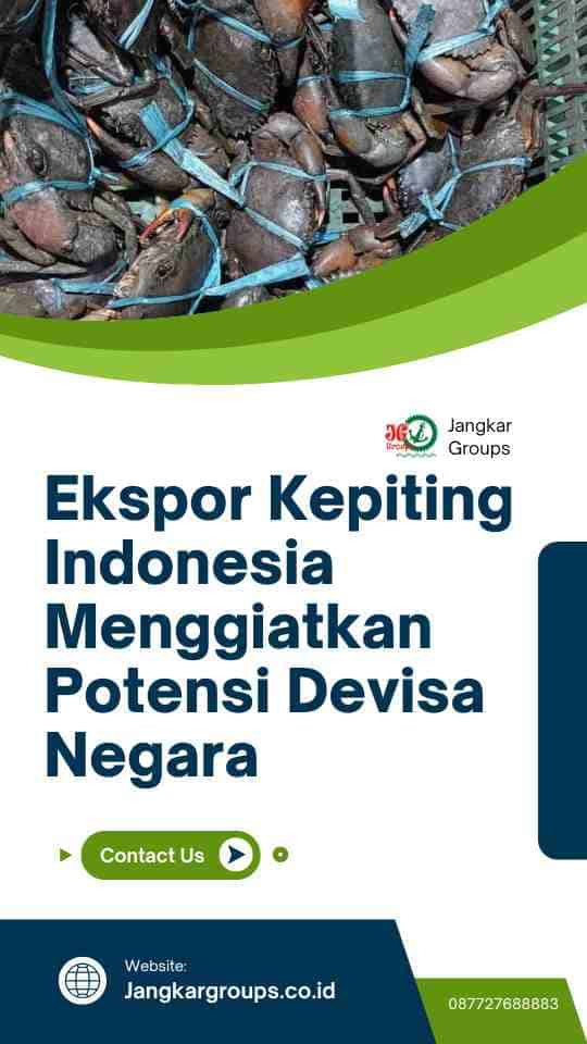 Ekspor Kepiting Indonesia Menggiatkan Potensi Devisa Negara