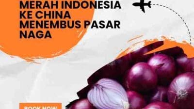 Ekspor Bawang Merah Indonesia ke China Menembus Pasar Naga