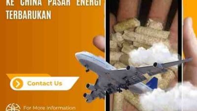 Ekspor Pelet Sekam Padi ke China Pasar Energi Terbarukan