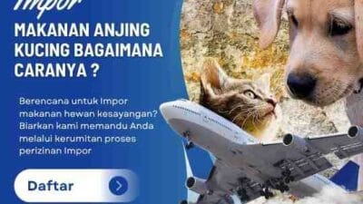 Impor Makanan Anjing Kucing Bagaimana Caranya