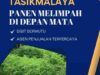 Jual Bibit Indigovera Tasikmalaya Solusi Hijau untuk Peternakan