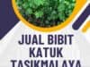 Jual Bibit Katuk Tasikmalaya, Panduan Menanam & Manfaatnya