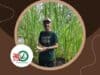 Jual Bibit Pakchong Tasikmalaya untuk Pakan Ternak Berkualitas
