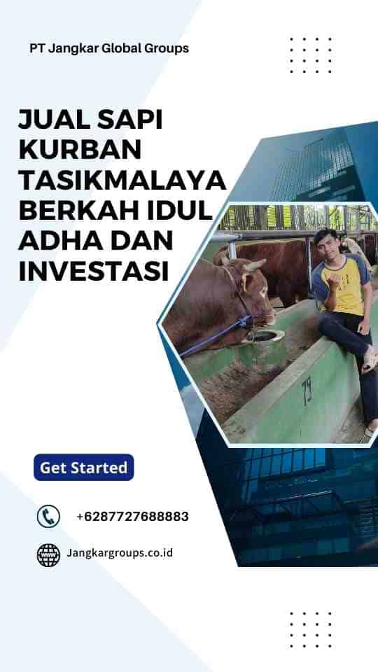 Jual Sapi Kurban Tasikmalaya Berkah Idul Adha dan Investasi