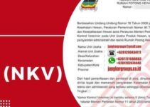 Persyaratan Sertifikat Nomor Kontrol Veteriner (NKV) dan Prosedur