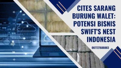 CITES Sarang Burung Walet Potensi Bisnis Swift's Nest Indonesia