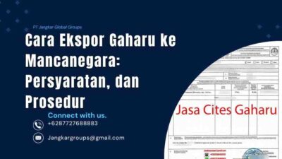 Cara Ekspor Gaharu ke Mancanegara Persyaratan, dan Prosedur