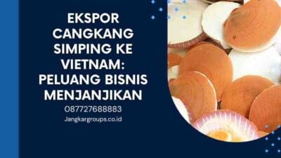 Ekspor Cangkang Simping ke Vietnam Peluang Bisnis Menjanjikan