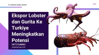 Ekspor Lobster dan Gurita Ke Turkiye Meningkatkan Potensi