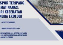 Ekspor Teripang Gamat Nanas: Dari Kesehatan hingga Ekologi