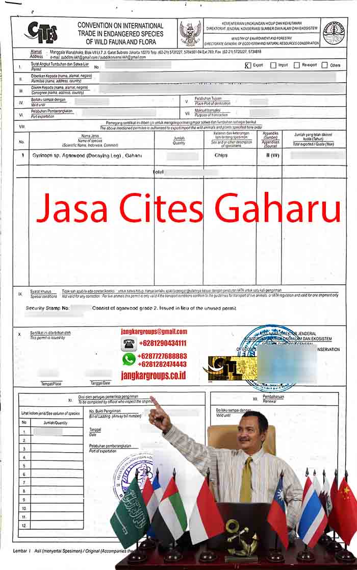 Jasa Cites Gaharu
