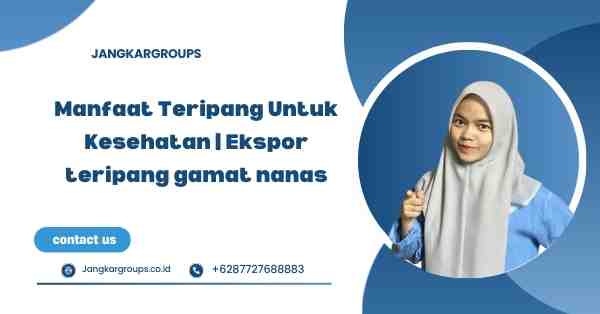 Manfaat Teripang Untuk Kesehatan | Ekspor teripang gamat nanas