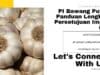 PI Bawang Putih: Panduan Lengkap Persetujuan Impor (PI)