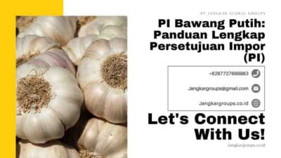 PI Bawang Putih: Panduan Lengkap Persetujuan Impor (PI)
