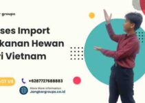 Import Makanan Hewan dari Vietnam: Proses Impor dan Bea Cukai