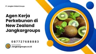 Agen Kerja Perkebunan di New Zealand Jangkargroups