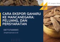Cara Ekspor Gaharu ke Mancanegara: Peluang, dan Persyaratan