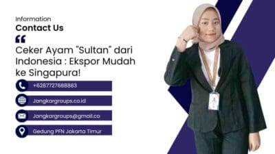 Ceker Ayam "Sultan" dari Indonesia : Ekspor Mudah ke Singapura!