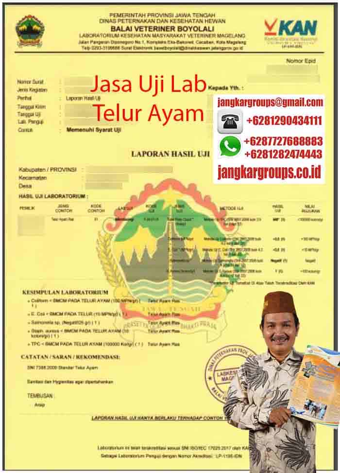 Contoh Uji Lab Telur Ayam