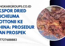 Ekspor Dried Eucheuma Cottonii ke China: Prosedur dan Prospek